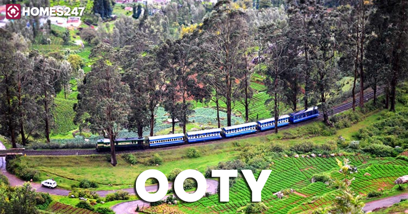ooty